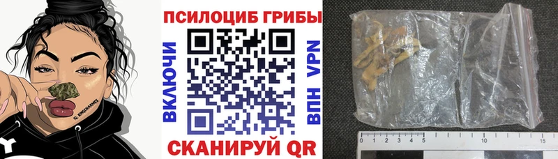 Псилоцибиновые грибы прущие грибы  blacksprut ONION  Унеча 